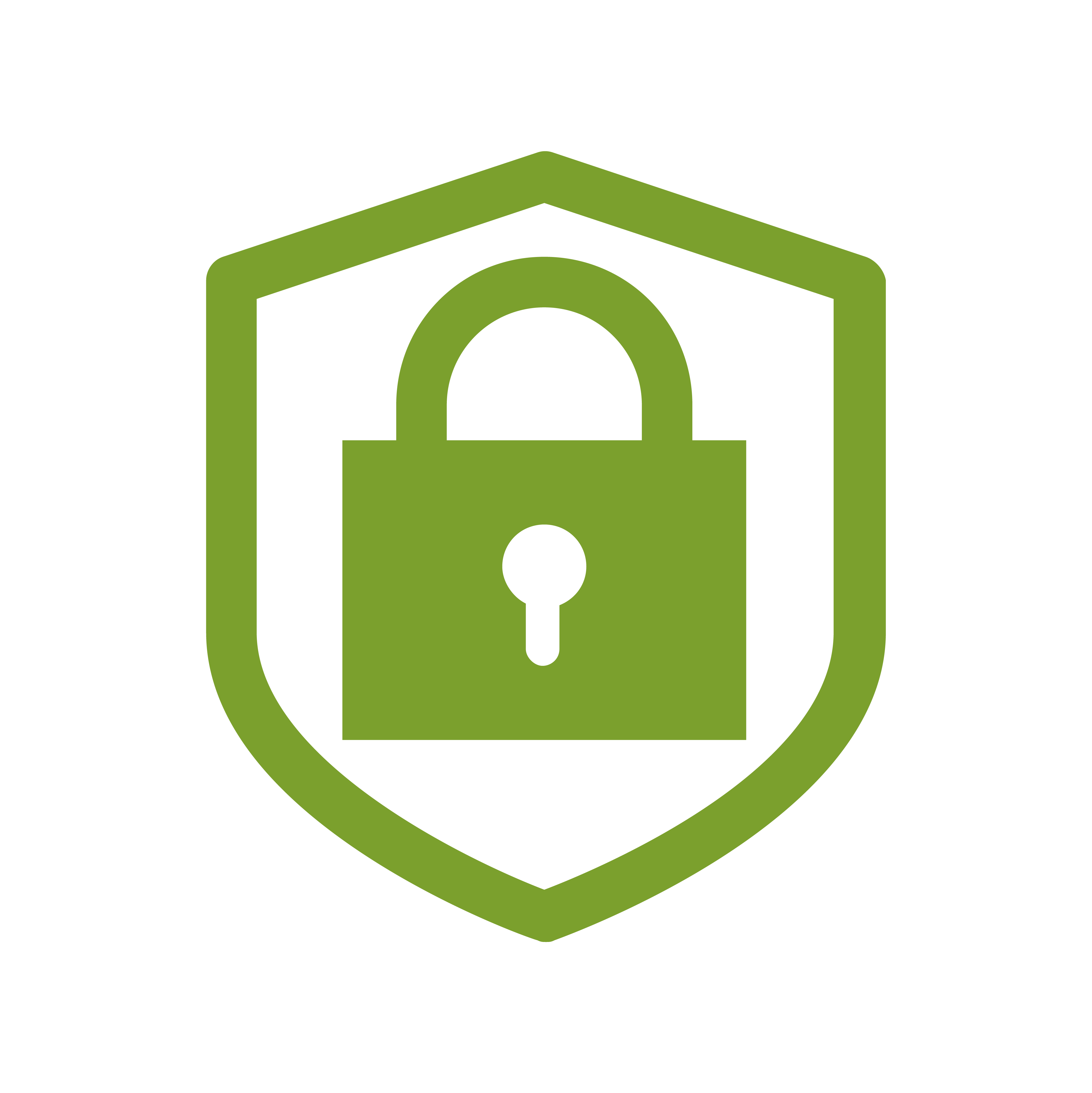 icon_security